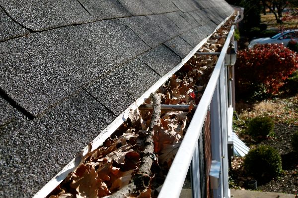 Inspect Roof Maintenance