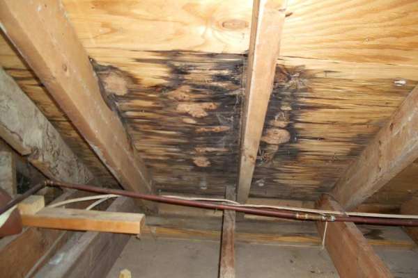 Roof Leak Repair