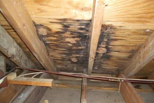 Roofing Repair Services L Asheville WNC L Pisgah Roofing Company