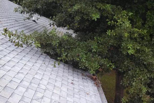 Roof Maintenance Company