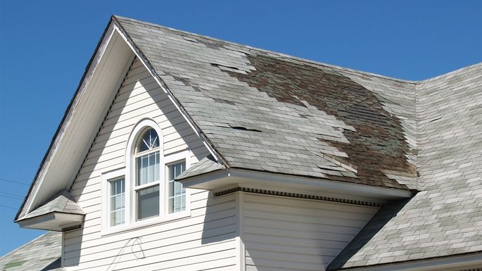 roof damage repair company