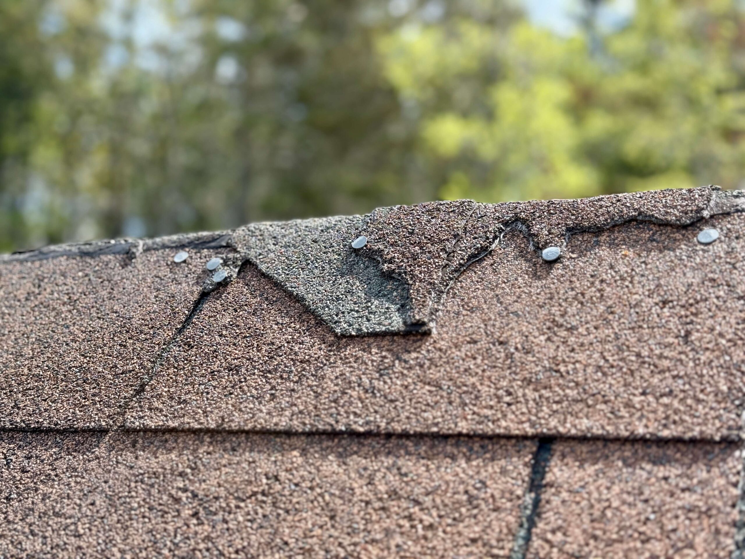 GettyImages-2217177014-1-scaled